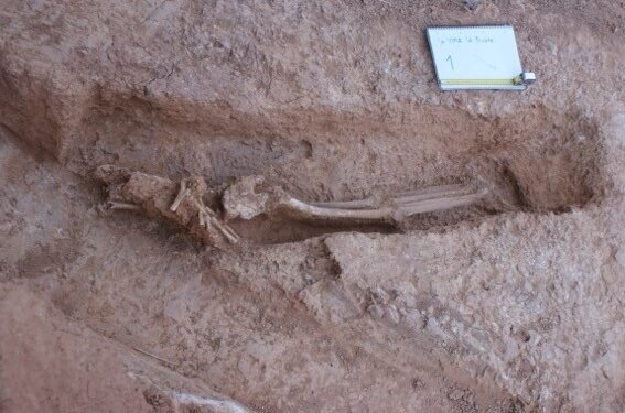 Una presencia fantasmagórica en el albergue de Millares