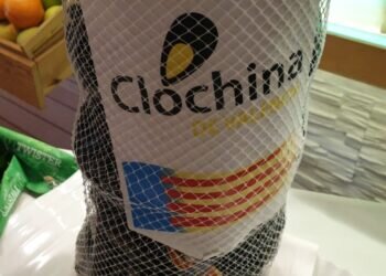 Las clóchinas de Valencia ya están en los mercados, pescaderías y grandes superficies a disposición de los consumidores