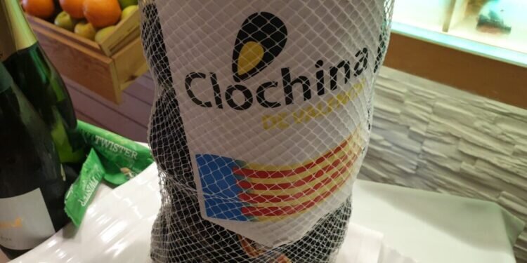 Las clóchinas de Valencia ya están en los mercados, pescaderías y grandes superficies a disposición de los consumidores