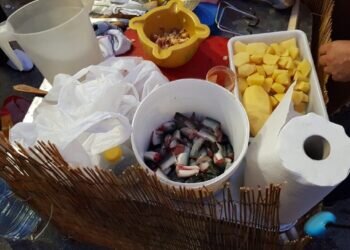 XIII concurs d’all i pebre Illa d’el Palma