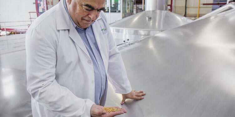 Ciencia, sentido común y maestría cervecera: cómo evitar los errores más comunes a la hora de servir una cerveza