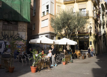La Plaza del Árbol de Valencia: historia y curiosidades de este lugar lleno de vida.