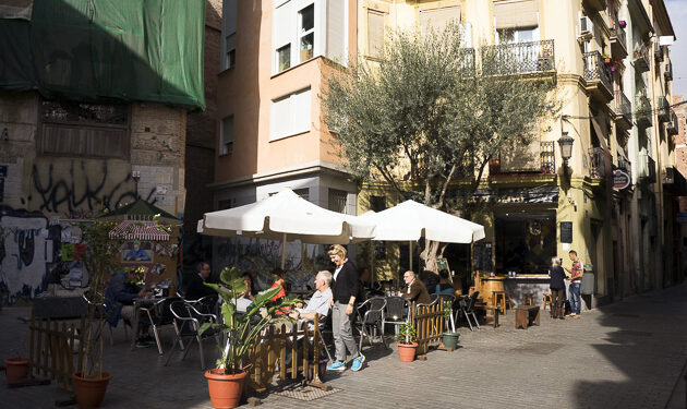 La Plaza del Árbol de Valencia: historia y curiosidades de este lugar lleno de vida.