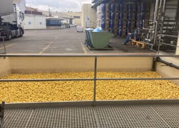 Citresa es una empresa valenciana de donde salen algunas de las bebidas más famosas del mundo