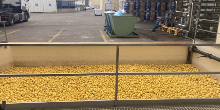 Citresa es una empresa valenciana de donde salen algunas de las bebidas más famosas del mundo