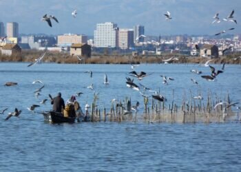 ¿Conoces la historia de la Albufera de Valencia y su relación con la gastronomía de la ciudad?