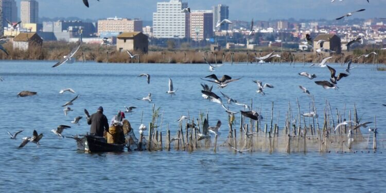 ¿Conoces la historia de la Albufera de Valencia y su relación con la gastronomía de la ciudad?