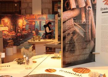 La exposición ‘Espècies, l’univers del sabor / Especias, el universo del sabor’ descubre el mundo oculto de las hierbas culinarias y medicinales