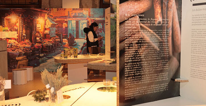 La exposición ‘Espècies, l’univers del sabor / Especias, el universo del sabor’ descubre el mundo oculto de las hierbas culinarias y medicinales