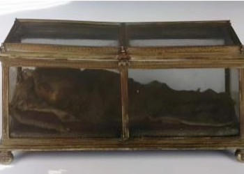 La sorprendente momia de un niño del siglo XI: ¿Reliquia de los Santos Inocentes o de las Cruzadas?