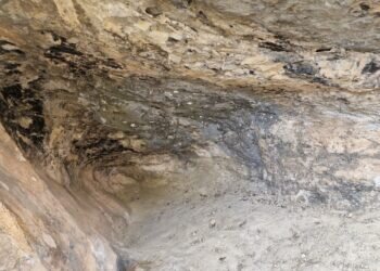 La Covacha de Llatas: Un tesoro arqueológico que revela la transición entre el Epipaleolítico y el Neolítico en Valencia