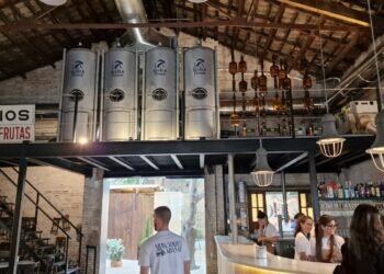 Mercader: Un espacio gastronómico que fusiona historia, sabores y diseño en el corazón de València