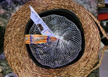 Arranca la campaña de la clóchina de Valencia con la previsión de aumentar un 5% la producción