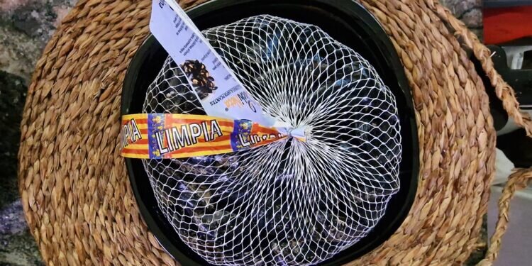 Arranca la campaña de la clóchina de Valencia con la previsión de aumentar un 5% la producción