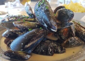 Clóchina valenciana vs. Mejillón gallego: ¡Descubre el duelo de sabores marinos!