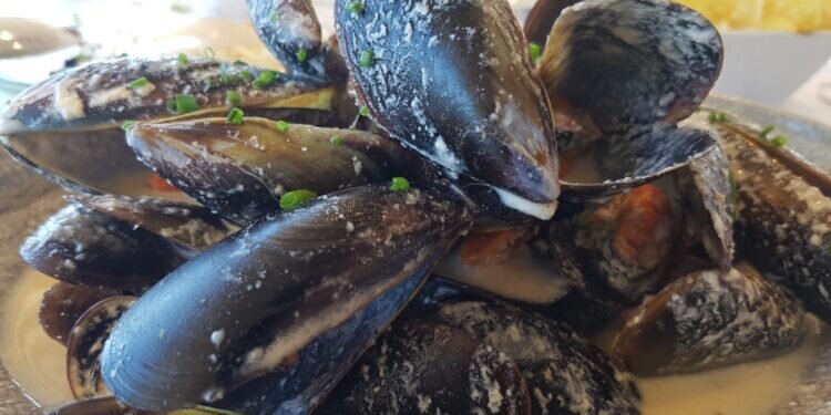 Clóchina valenciana vs. Mejillón gallego: ¡Descubre el duelo de sabores marinos!