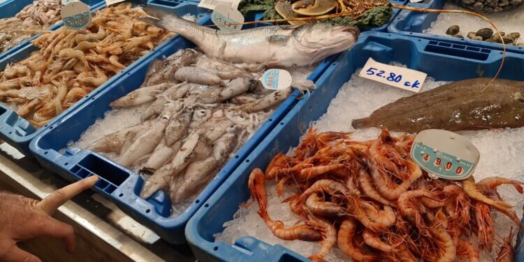 La Deliciosa Fusión del Mar y la Tierra: Un Viaje Gastronómico por Vinaròs