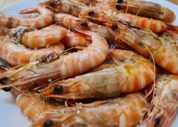 Tesoros del Mar Mediterráneo: El Langostino de Vinaròs, el Sabor que Maravilla los Paladares