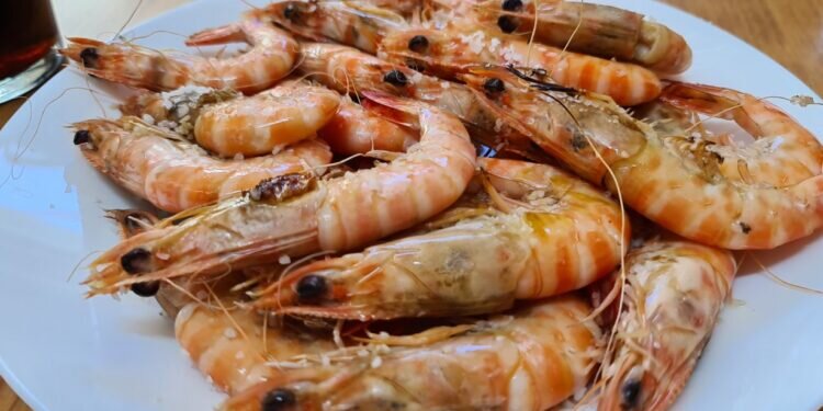Tesoros del Mar Mediterráneo: El Langostino de Vinaròs, el Sabor que Maravilla los Paladares