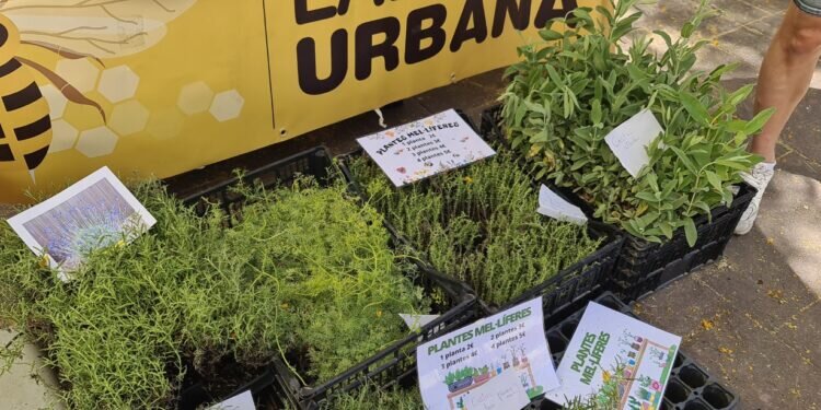 El Jardín del Éxtasis: Descubre las Plantas que Enloquecen a las Abejas con su Poder Polinizador