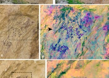 Drones ayudan a descubrir pinturas rupestres en Alicante