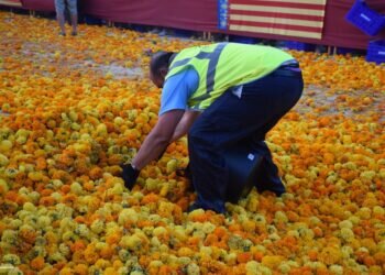 Batalla de Flores; Comprueba aquí tus números en el sorteo