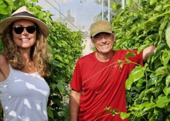 Mayne&Oelsner Agricultura Ecológica (M&O) en Valencia: Compromiso con la Naturaleza y el Sabor