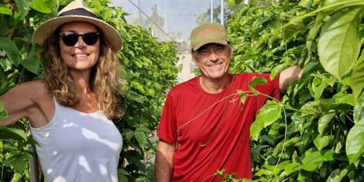 Mayne&Oelsner Agricultura Ecológica (M&O) en Valencia: Compromiso con la Naturaleza y el Sabor