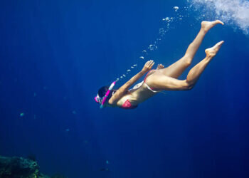 Los 10 Mejores Lugares para Bucear en Valencia: Descubre los Secretos del Mediterráneo