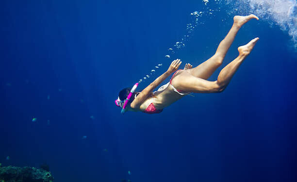 Los 10 Mejores Lugares para Bucear en Valencia: Descubre los Secretos del Mediterráneo