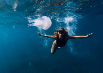 Evita las Medusas en tus Vacaciones: Playas de España a Evitar