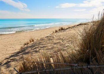 Acuerdo para un cierre escalonado de la playa de l’Arbre del Gos en Valencia
