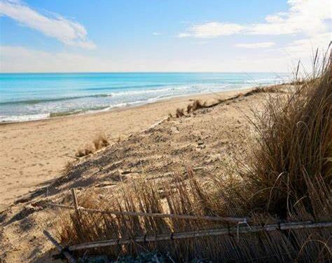 Acuerdo para un cierre escalonado de la playa de l’Arbre del Gos en Valencia
