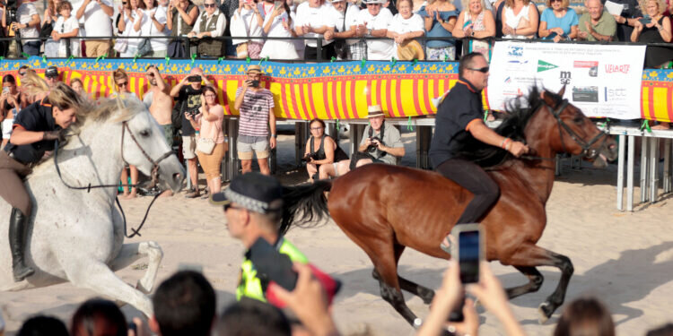 Restauradas las primeras siete vidrieras de la Iglesia Jesuitas Valencia