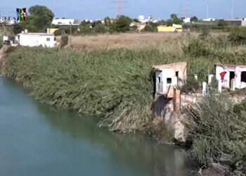 El Paisaje Protegido de la Desembocadura del río Mijares se convierte en un extraordinario jardín fluvial