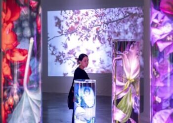 El CCCC ofrece una experiencia artística diversa este agosto con siete exposiciones temáticas