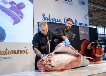 Alicante Gastronómica inicia con el ronqueo de un impresionante atún rojo de 200 kilos