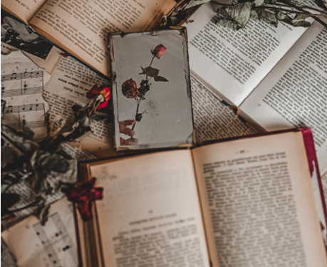 La Biblioteca Valenciana Inicia un Club de Lectura en Valencià para 2023-2024