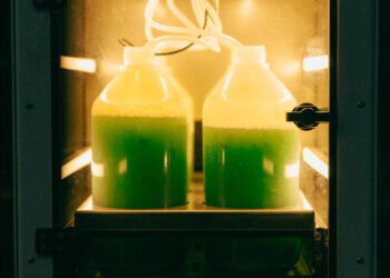 De la paella liofilizada al pescado vegano: el futuro de la gastronomía se sirve en Valencia