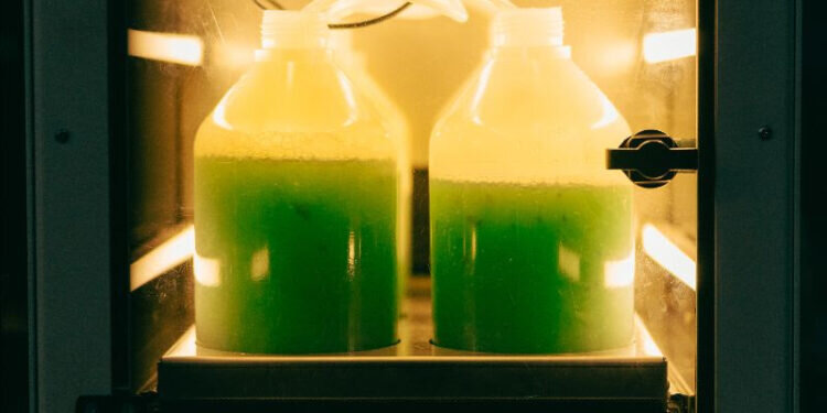 De la paella liofilizada al pescado vegano: el futuro de la gastronomía se sirve en Valencia