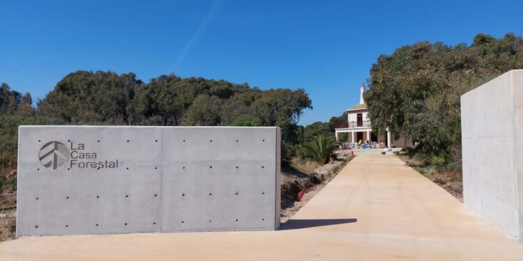 Nuevas Rutas Turísticas Gratuitas en València: Descubre los Pobles del Nord y del Sud