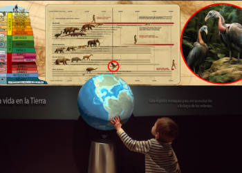 València Invierte Más de un Millón de Euros en Experiencias Inmersivas para el Museo de Ciencias Naturales