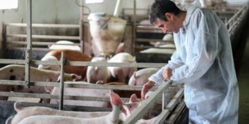 WELFAIR: un certificado que mide el bienestar animal